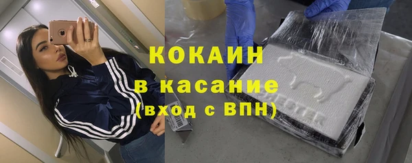 гашик Касимов