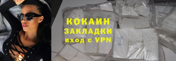 гашик Касимов