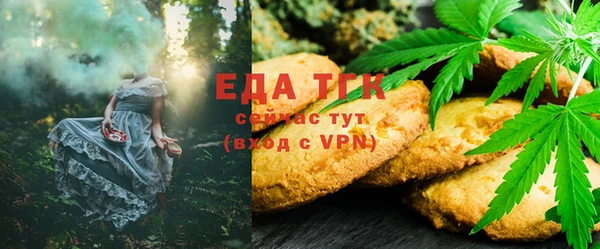 гашик Касимов