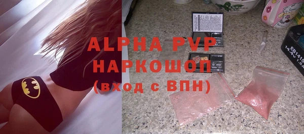 гашик Касимов