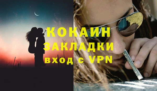 гашик Касимов