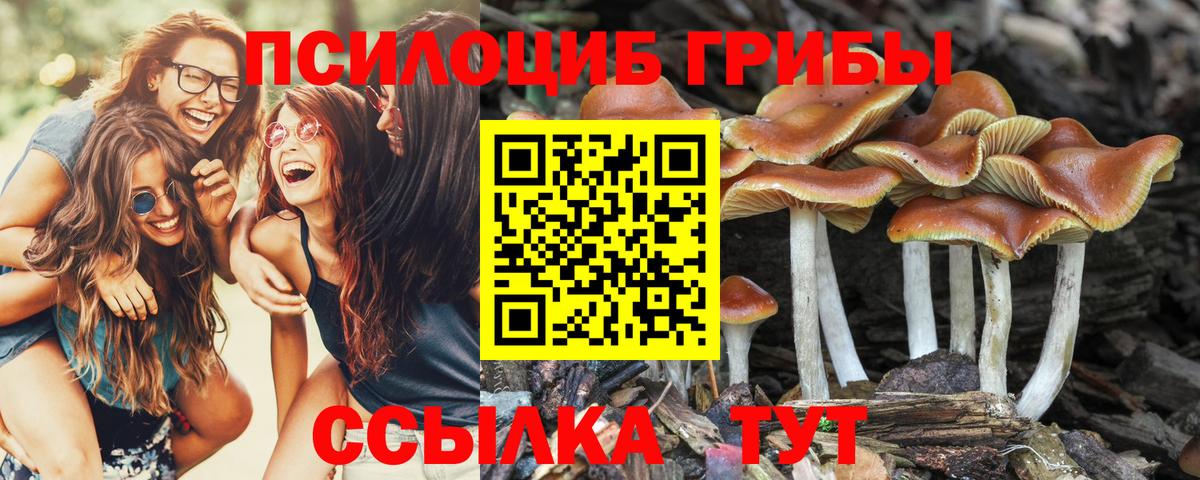 Псилоцибиновые грибы мухоморы Ухта